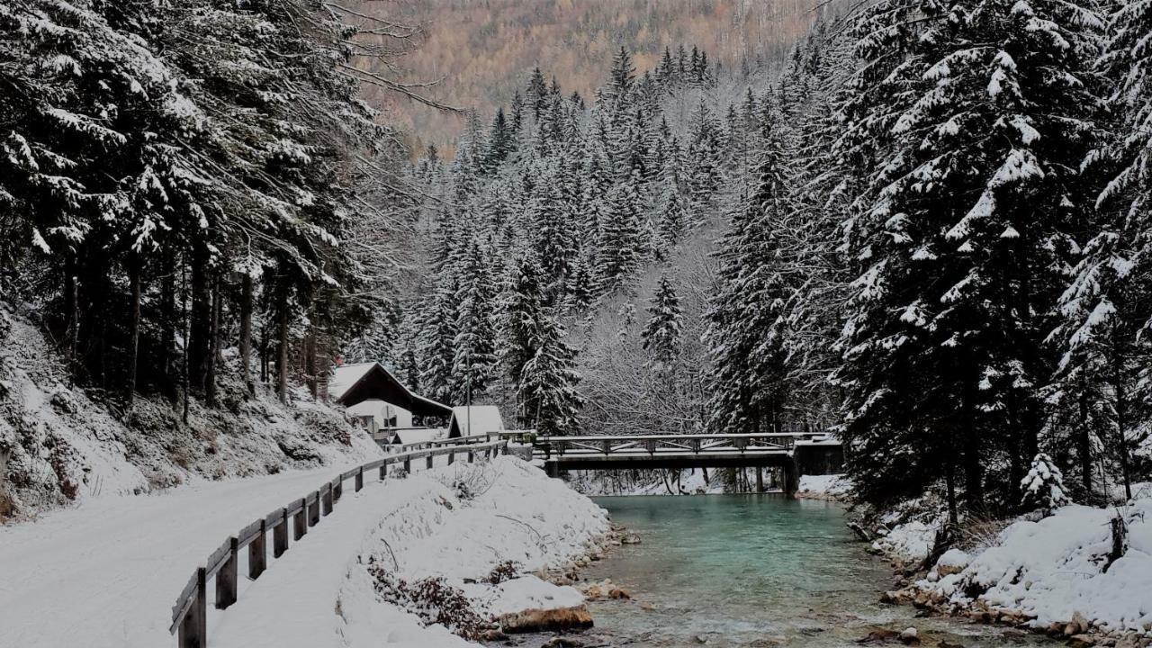Zajcek Apartma Мойстрана Экстерьер фото